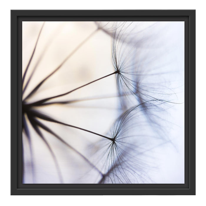 Weiße Pusteblumen Schattenfugenrahmen Quadratisch 40x40