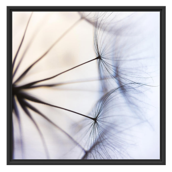 Weiße Pusteblumen Schattenfugenrahmen Quadratisch 70x70