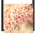 Kirschblüten Schattenfugenrahmen Quadratisch 40x40