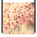 Kirschblüten Schattenfugenrahmen Quadratisch 70x70