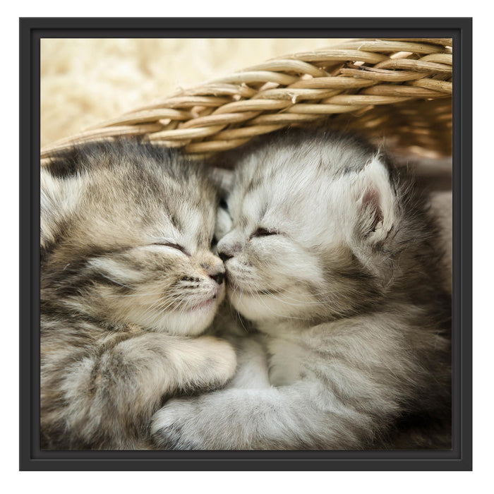 Baby Katze Schattenfugenrahmen Quadratisch 55x55