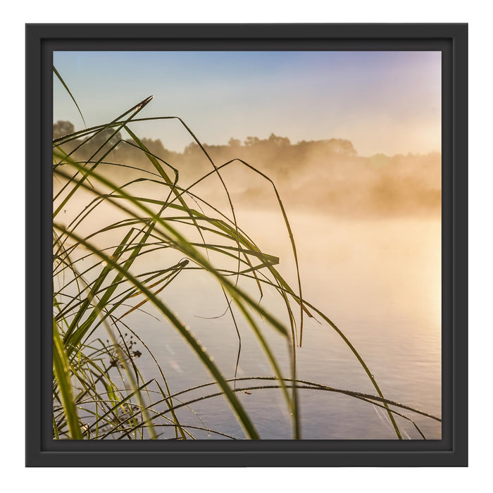 Schilf am See Schattenfugenrahmen Quadratisch 40x40