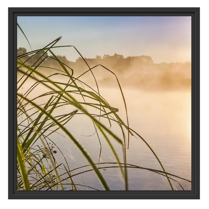 Schilf am See Schattenfugenrahmen Quadratisch 55x55