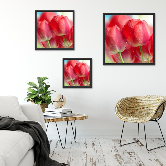 Rote Tulpen Quadratisch Schattenfugenrahmen Wohnzimmer