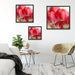 Rote Tulpen Quadratisch Schattenfugenrahmen Wohnzimmer