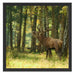 Hirsch im Wald Schattenfugenrahmen Quadratisch 55x55