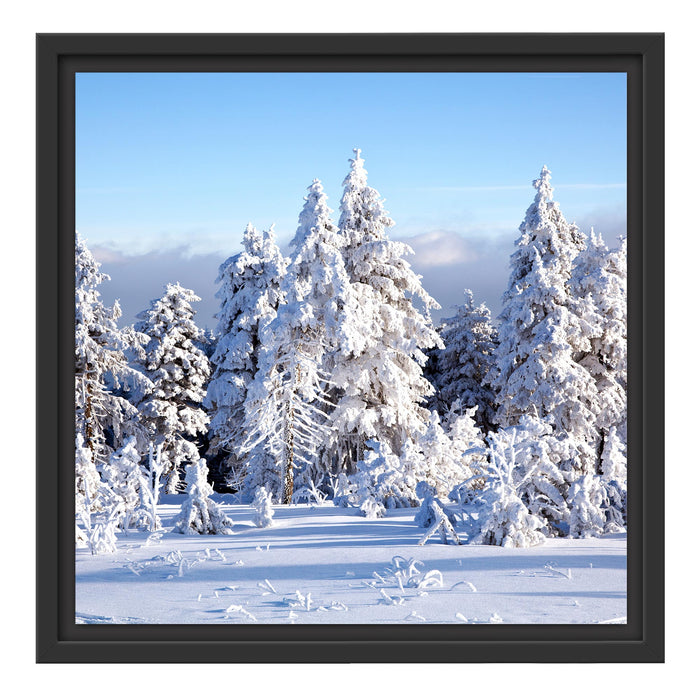 Winterwald Schattenfugenrahmen Quadratisch 40x40