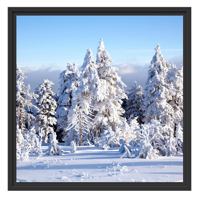 Winterwald Schattenfugenrahmen Quadratisch 55x55