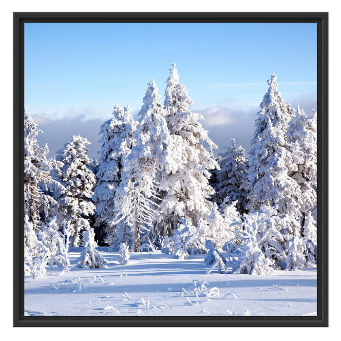 Winterwald Schattenfugenrahmen Quadratisch 70x70