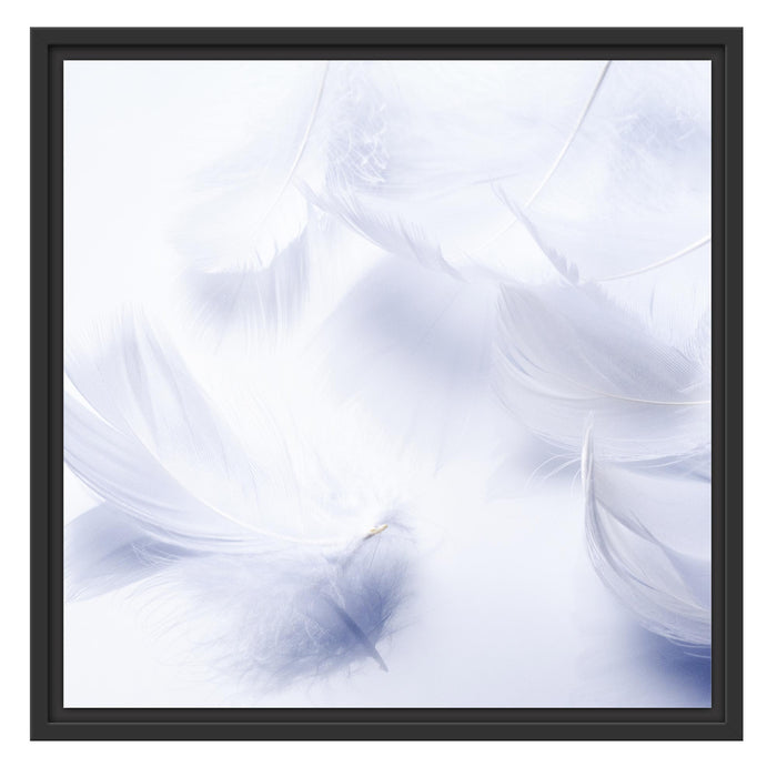 Weiße Feder auf schwarzem Stein Schattenfugenrahmen Quadratisch 55x55