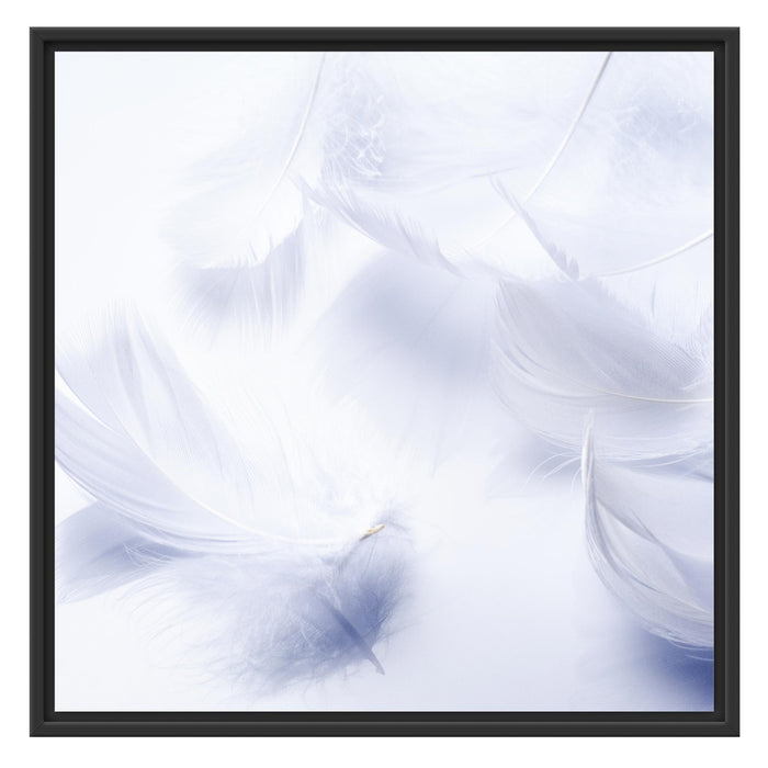 Weiße Feder auf schwarzem Stein Schattenfugenrahmen Quadratisch 70x70
