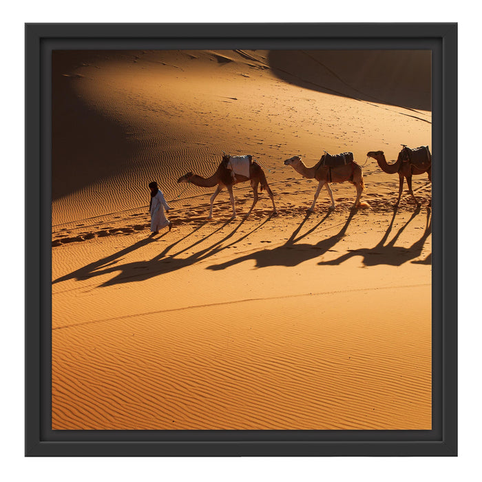 Kamelkarawane in der Wüste Schattenfugenrahmen Quadratisch 40x40