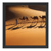 Kamelkarawane in der Wüste Schattenfugenrahmen Quadratisch 40x40