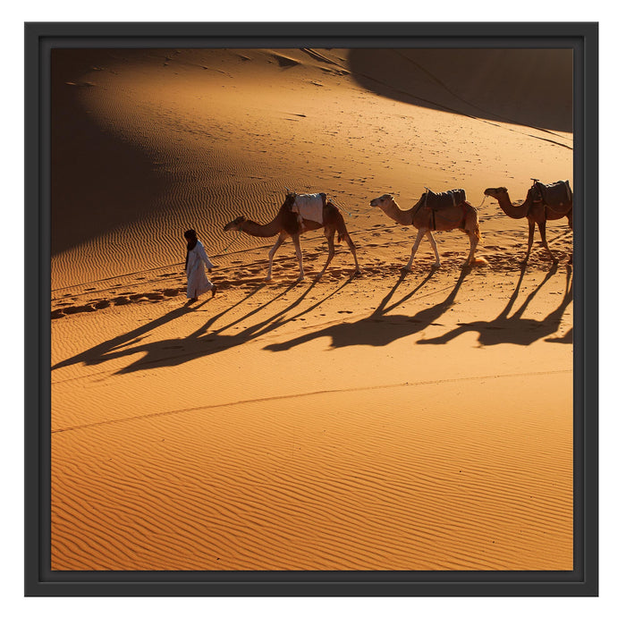 Kamelkarawane in der Wüste Schattenfugenrahmen Quadratisch 55x55