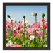 Blumenwiese Mohnblumen Schattenfugenrahmen Quadratisch 40x40