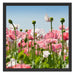 Blumenwiese Mohnblumen Schattenfugenrahmen Quadratisch 55x55