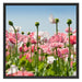 Blumenwiese Mohnblumen Schattenfugenrahmen Quadratisch 70x70