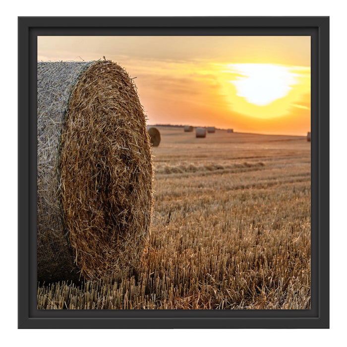 Strohballen auf Feld Schattenfugenrahmen Quadratisch 40x40