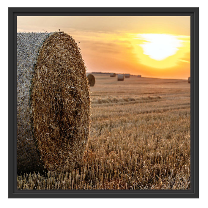 Strohballen auf Feld Schattenfugenrahmen Quadratisch 55x55