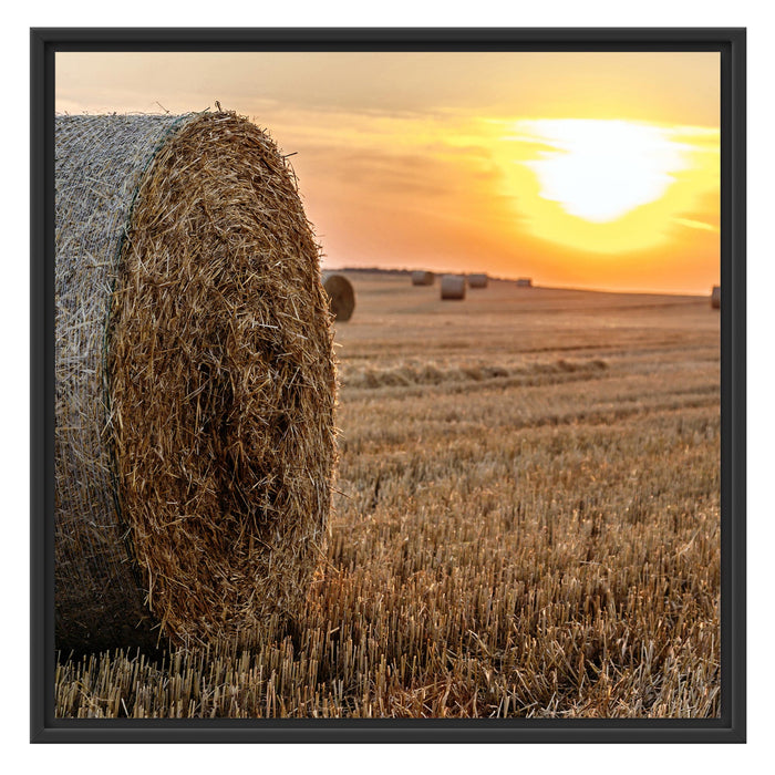 Strohballen auf Feld Schattenfugenrahmen Quadratisch 70x70