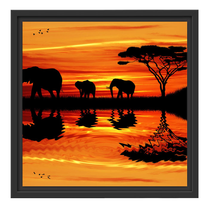 Afrika Elefant in Sonnenschein Schattenfugenrahmen Quadratisch 40x40
