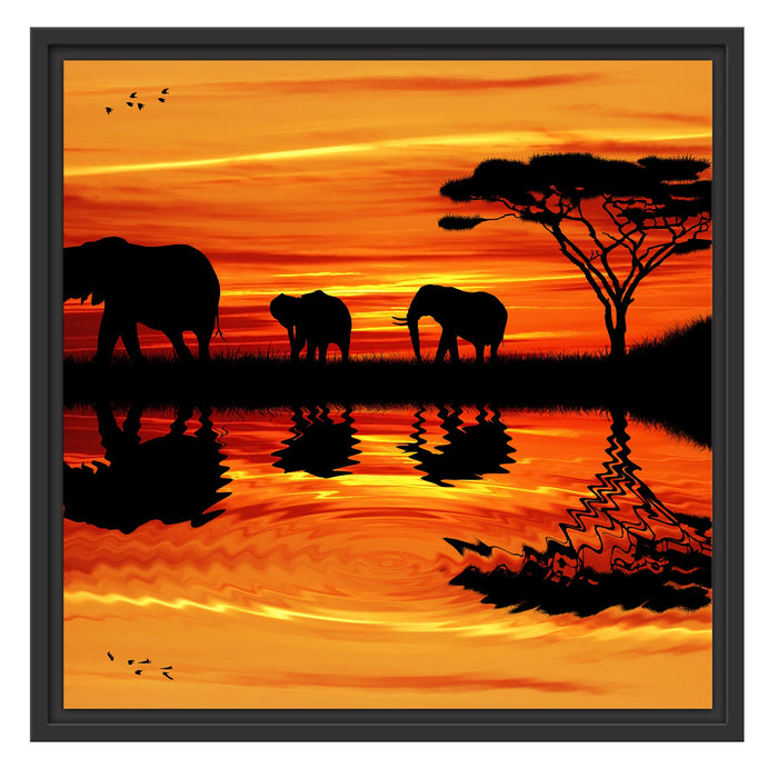 Afrika Elefant in Sonnenschein Schattenfugenrahmen Quadratisch 55x55