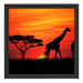 Afrika Giraffen im Sonnenuntergang Schattenfugenrahmen Quadratisch 40x40