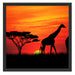 Afrika Giraffen im Sonnenuntergang Schattenfugenrahmen Quadratisch 55x55