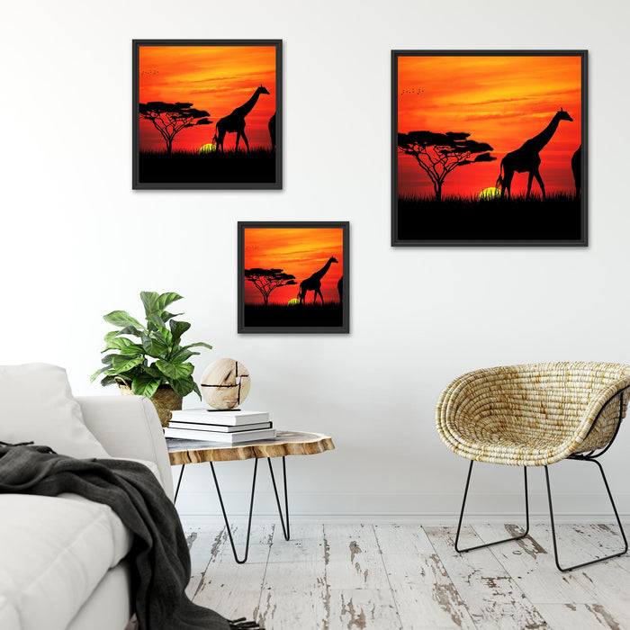Afrika Giraffen im Sonnenuntergang Quadratisch Schattenfugenrahmen Wohnzimmer