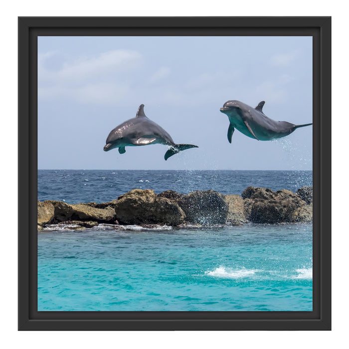 springende Delphine Schattenfugenrahmen Quadratisch 40x40