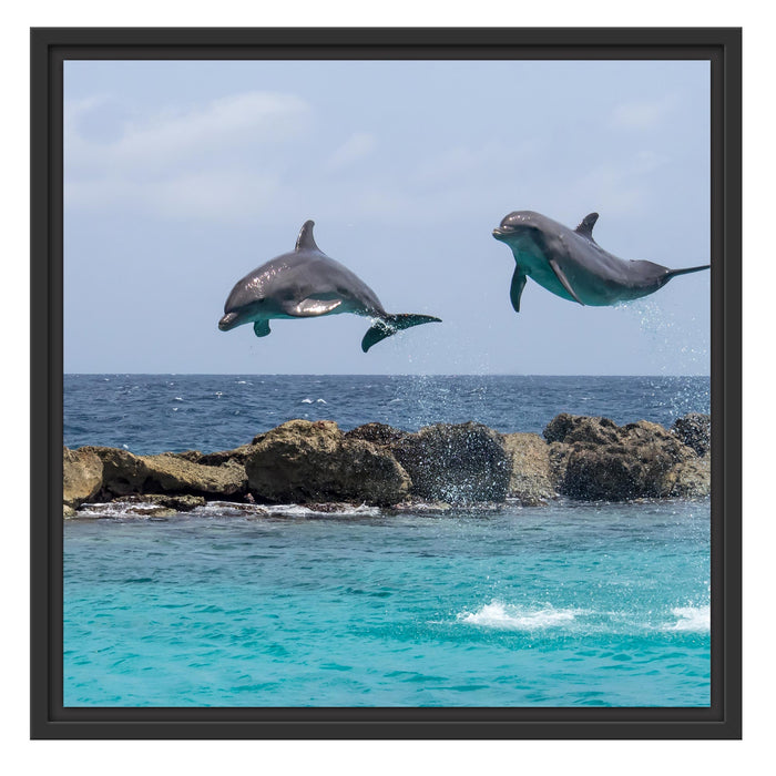 springende Delphine Schattenfugenrahmen Quadratisch 55x55