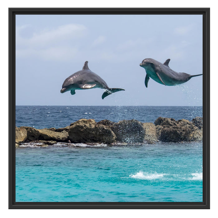 springende Delphine Schattenfugenrahmen Quadratisch 70x70