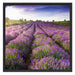 Lavendelfeld Provence Schattenfugenrahmen Quadratisch 70x70