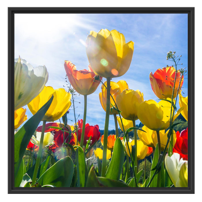 Wiese Froschperspektive Schattenfugenrahmen Quadratisch 70x70