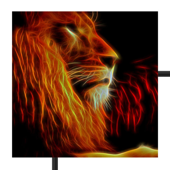 Löwe Natur Afrika Schattenfugenrahmen Quadratisch 70x70