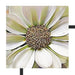 weiße Blüte Schattenfugenrahmen Quadratisch 55x55