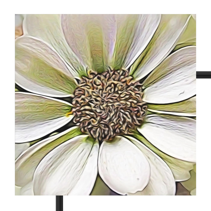 weiße Blüte Schattenfugenrahmen Quadratisch 70x70