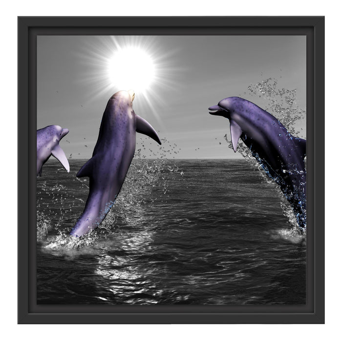 Fröhliche Delfine springen im Meer Schattenfugenrahmen Quadratisch 40x40