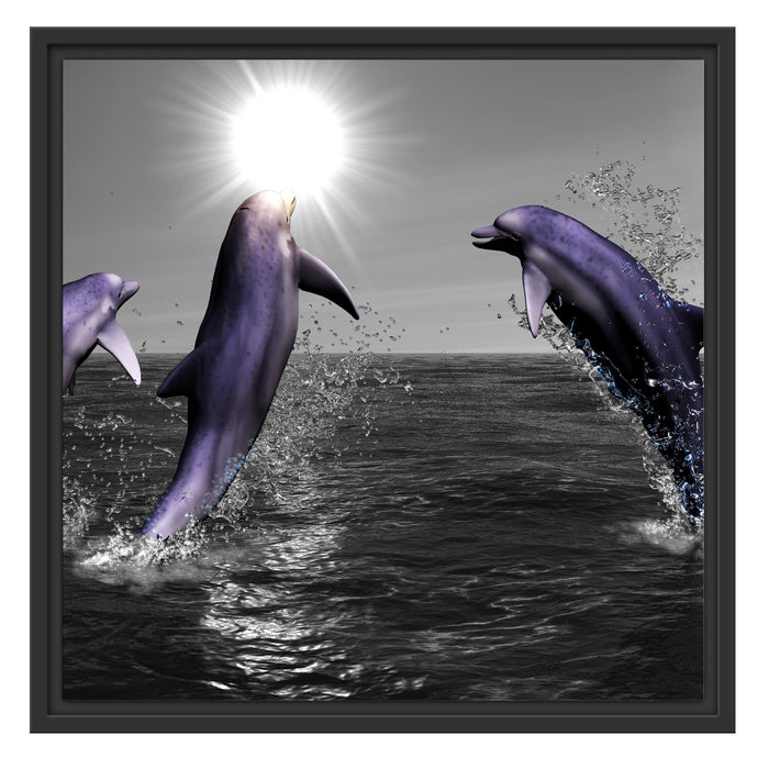 Fröhliche Delfine springen im Meer Schattenfugenrahmen Quadratisch 55x55