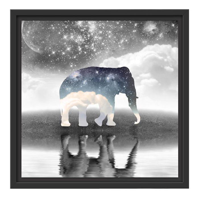 Einsamer Elefant Schattenfugenrahmen Quadratisch 40x40