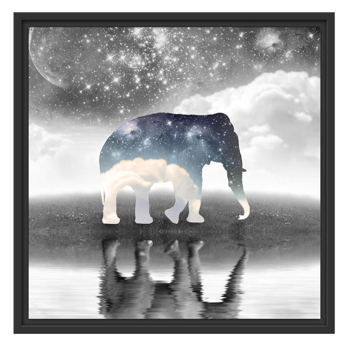 Einsamer Elefant Schattenfugenrahmen Quadratisch 55x55