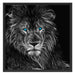 Dark Abstrakter Löwe Schattenfugenrahmen Quadratisch 70x70