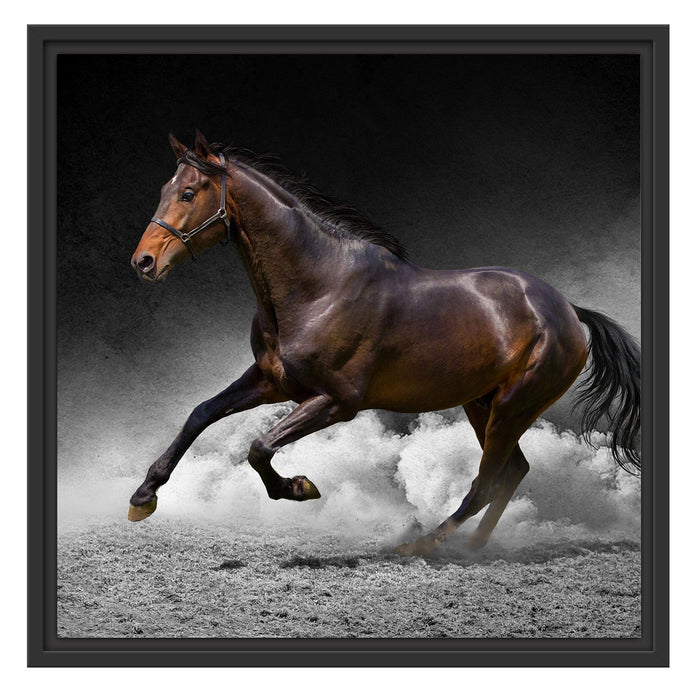 prächtiger Hengst im Sand Schattenfugenrahmen Quadratisch 55x55