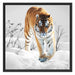 Großer wilder Tiger im Schnee Schattenfugenrahmen Quadratisch 70x70