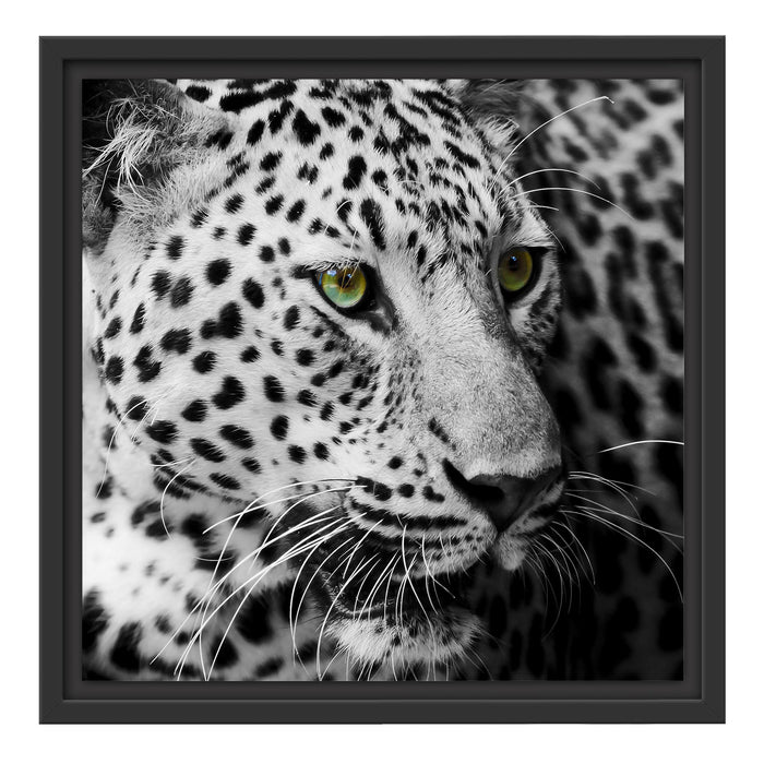 Dark Leopard mit grünen Augen Schattenfugenrahmen Quadratisch 40x40