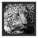 Dark Leopard mit grünen Augen Schattenfugenrahmen Quadratisch 40x40