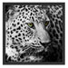 Dark Leopard mit grünen Augen Schattenfugenrahmen Quadratisch 55x55