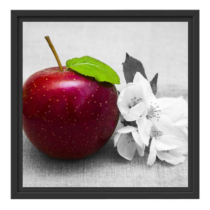Schöner roter Apfel mit Blüten Schattenfugenrahmen Quadratisch 40x40