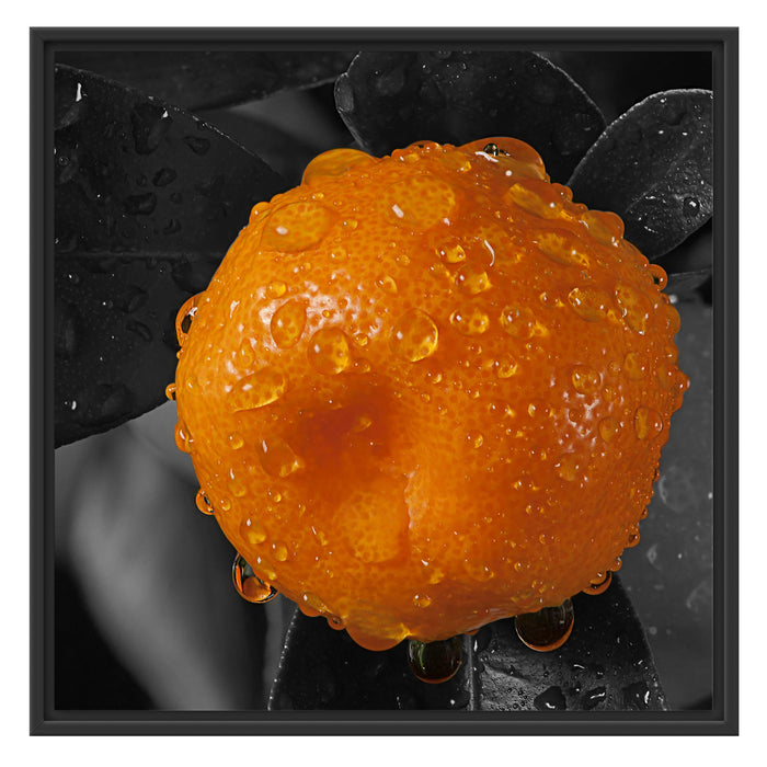 Orange mit Wassertropfen Schattenfugenrahmen Quadratisch 70x70