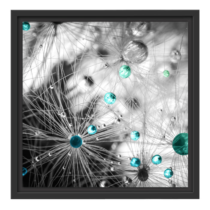 Wassertropfen auf Pusteblume Schattenfugenrahmen Quadratisch 40x40